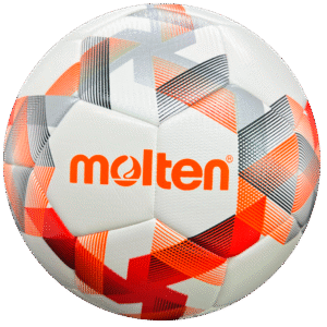 Balón de Futbol N.5 - F5D3100