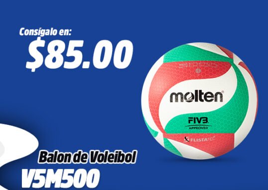 Balón de voleibol molten