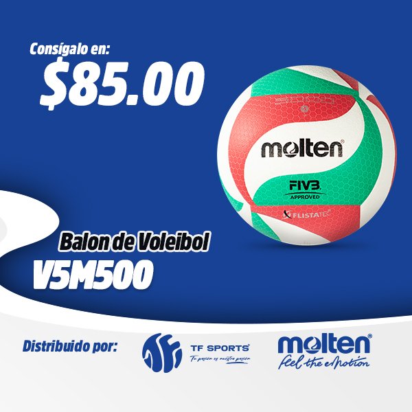 Balón de voleibol molten